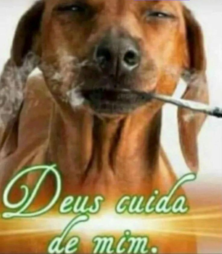luaa
